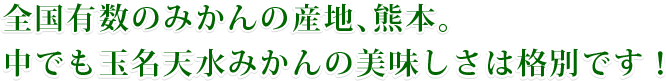 全国有数のみかんの産地、熊本。中でも玉名天水みかんの美味しさは格別です！